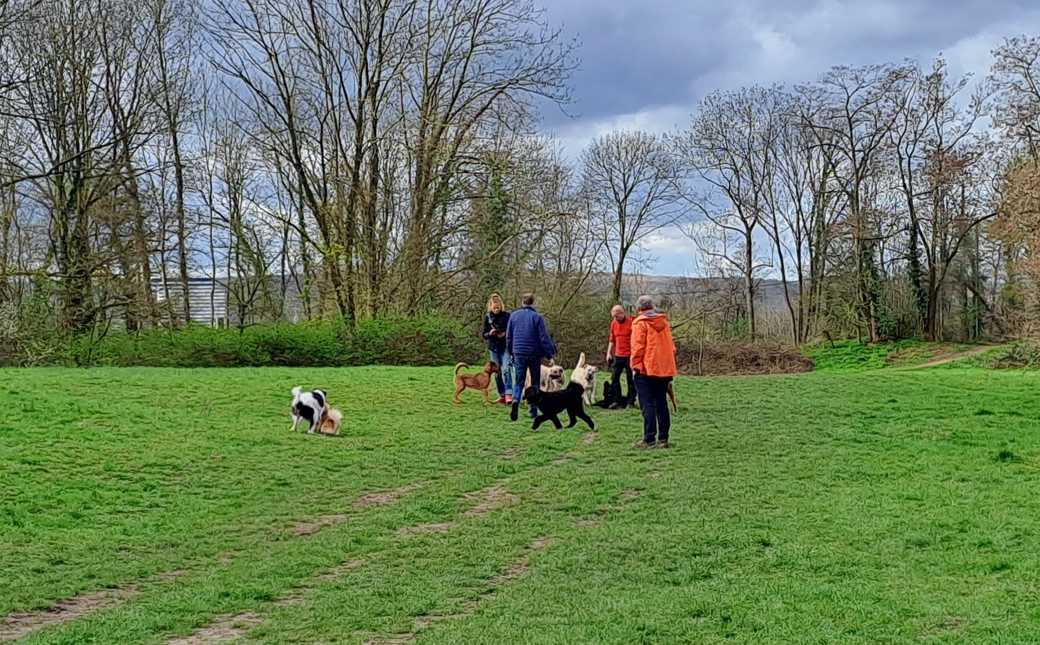 auf dem Finkenberg 30.03 (13)